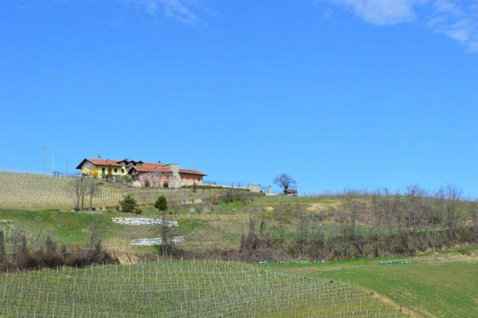 Agriturismo Cascina Rabalot Diano d'Alba Exterior photo